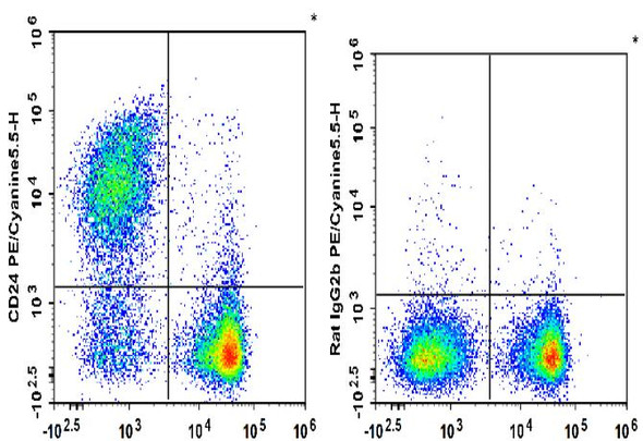 PE/Cyanine5.5 Anti-Mouse CD24 Antibody [M1/69] (AGEL1896)