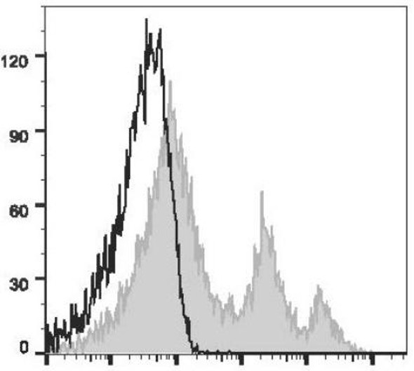 PerCP/Cyanine5.5 Anti-Mouse CD24 Antibody [M1/69] (AGEL1906)