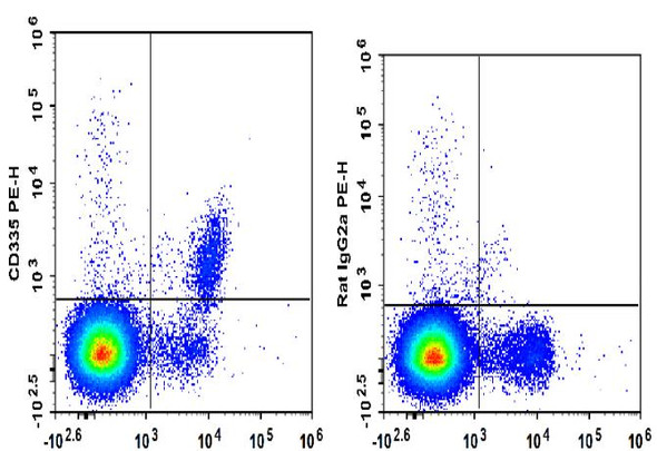 PE Anti-Mouse CD335 Antibody [29A1.4] (AGEL1937)