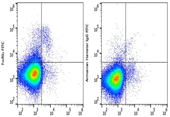 FITC Anti-Mouse FcεRIα Antibody [MAR-1] (AGEL1984)