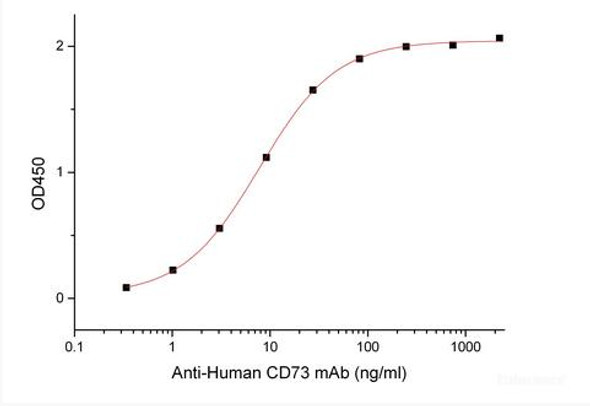 Recombinant Human 5'-Nucleotidase/5'-NT/CD73 (P21589, C-6His)