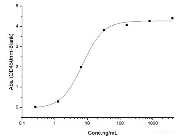 Recombinant SARS-CoV-2 Spike RBD (K417T, E484K, N501Y) (His Tag)