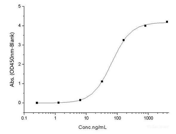 Recombinant SARS-CoV-2 Spike RBD (F490L) (His Tag)