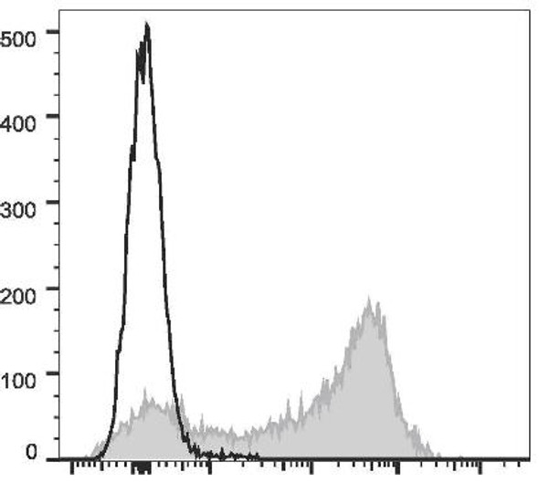 APC Anti-Rat CD44H Antibody [OX-49] (AGEL2428)