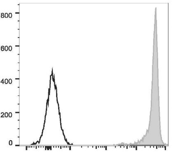 PE Anti-Rat CD90/Mouse CD90.1 Antibody [OX-7] (AGEL2441)