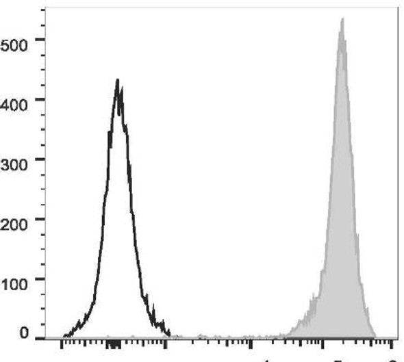 PerCP/Cyanine5.5 Anti-Rat CD90/Mouse CD90.1 Antibody [OX-7] (AGEL2443)