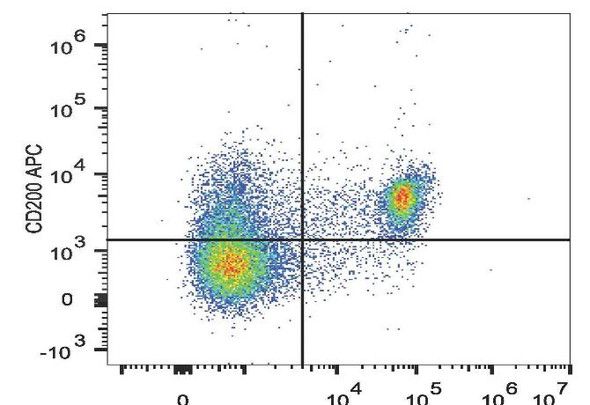 APC Anti-Mouse CD200 Antibody [OX-90] (AGEL2475)
