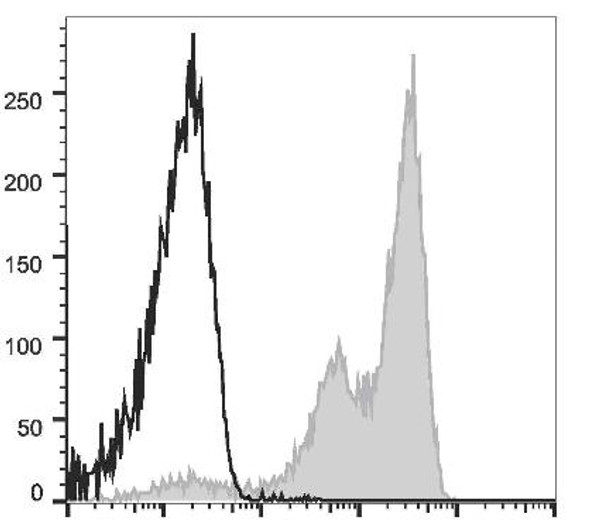 GenieFluor Violet 450 Anti-Mouse Ly-6G/Ly-6C (Gr-1) Antibody [RB6-8C5] (AGEL2987)