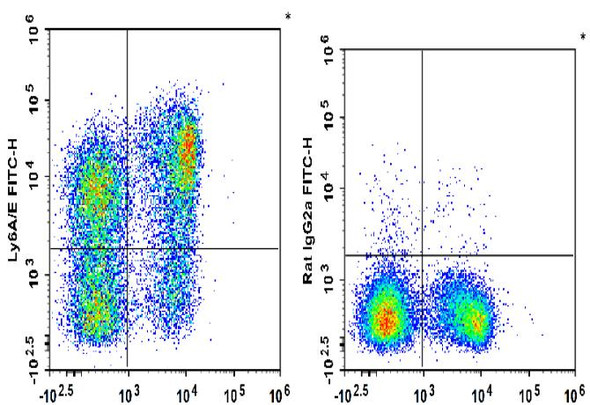 FITC Anti-Mouse Ly6A/E (Sca-1) Antibody [D7] (AGEL2345)