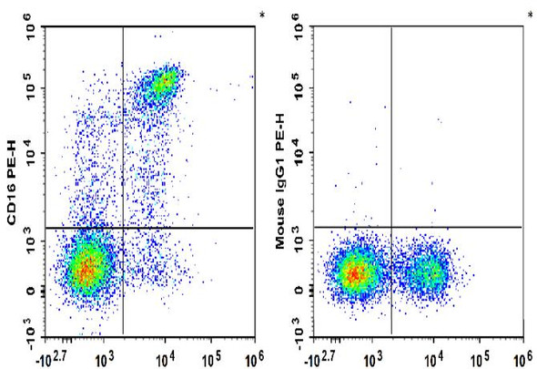 PE Anti-Human CD16 Antibody [3G8] (AGEL2478)