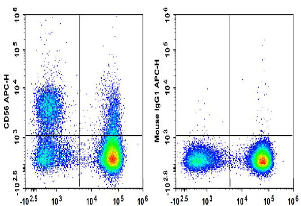 APC Anti-Human CD56 Antibody [5.1H11] (AGEL2486)