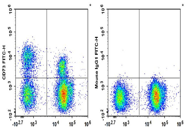 FITC Anti-Human CD73 Antibody [AD2] (AGEL2488)