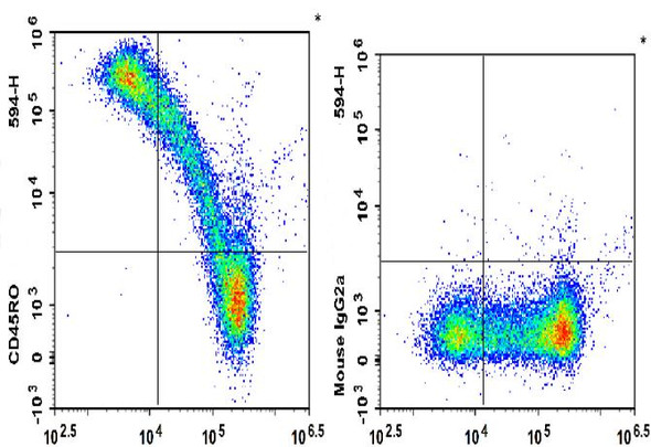 PE/GenieFluor 594 Anti-Human CD45RO Antibody [UCHL1] (AGEL3148)