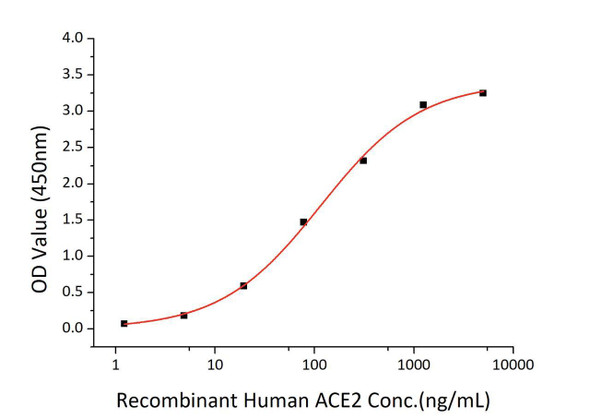 Recombinant SARS-CoV-2 Spike S1+S2 ECD Protein (CARP01260)