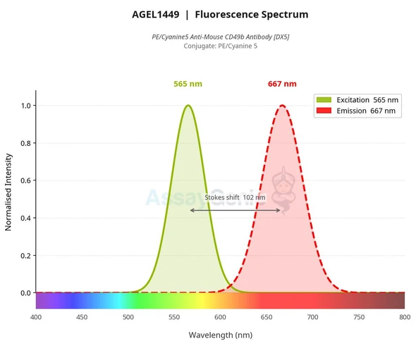 PE/Cyanine5 Anti-Mouse CD49b Antibody [DX5] (AGEL1449)