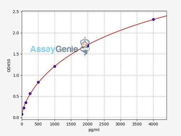 Human RANK/TNFRSF11A ELISA Kit (HUFI00264)