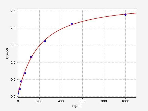 Rabbit ApoB48/Apolipoprotein B48 ELISA Kit (RBFI00011)