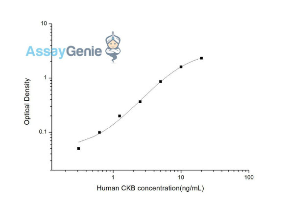 Human CKB (Creatine Kinase, Brain) ELISA Kit (HUES03300)