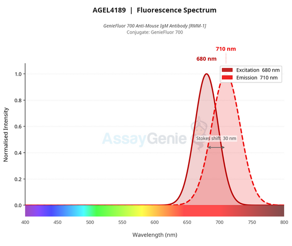 GenieFluor 700 Anti-Mouse IgM Antibody [RMM-1] (AGEL4189)