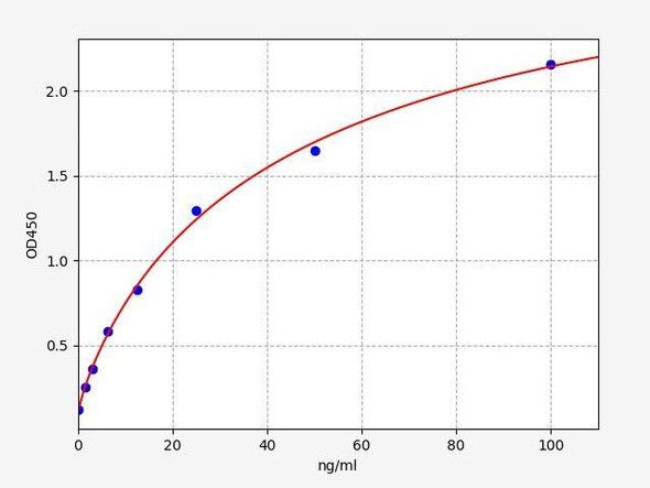 Mouse Anti-2019 nCoV (N) IgM ELISA Kit (AEFI01395)