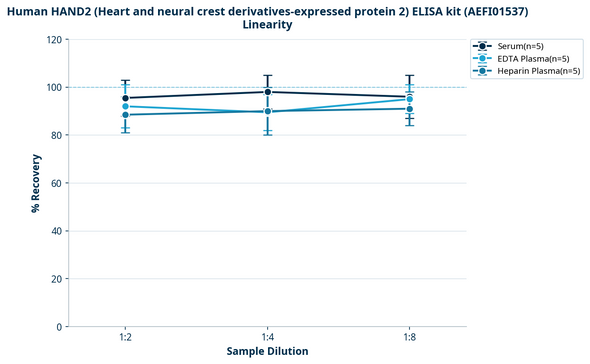 Human HAND2 (Heart and neural crest derivatives-expressed protein 2) ELISA kit (AEFI01537)