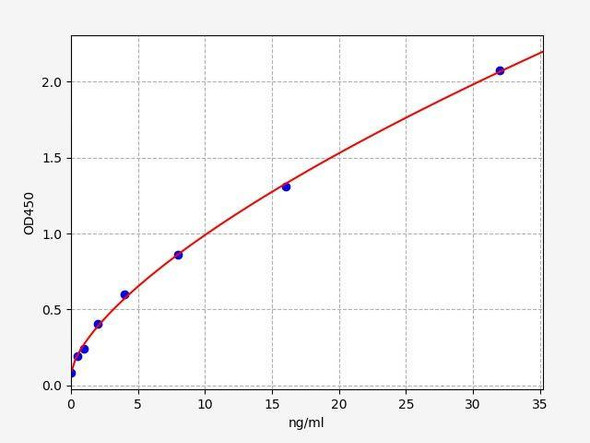 Human MMP-2 ColorStep ELISA Kit (AEFI01850)