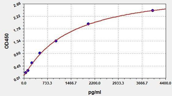 Rabbit Complement 5a ColorStep ELISA Kit (AEFI02047)