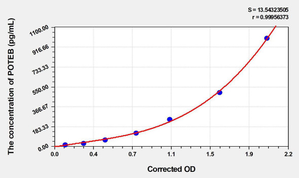 Human POTEB (POTE ankyrin domain family member B3) ELISA Kit (AEKE00099)