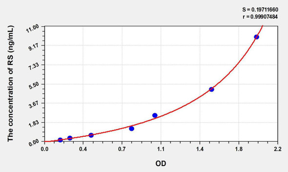 Human RS (Retinoschisin) ELISA Kit (AEKE00776)