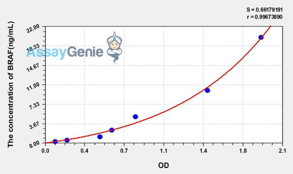Human BRAF (B-Raf Proto Oncogene Serine/Threonine Protein Kinase) ELISA Kit (AEKE01050)