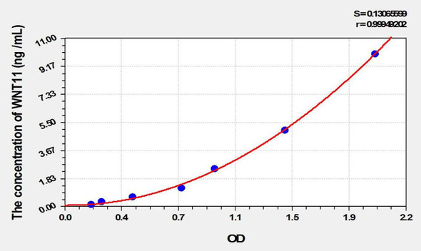 Human WNT11 (Wingless Type MMTV Integration Site Family, Member 11) ELISA Kit (AEKE01929)