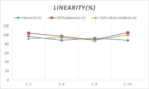 Rat JAG1 (Jagged 1 Protein) ELISA Kit (AEES00751)