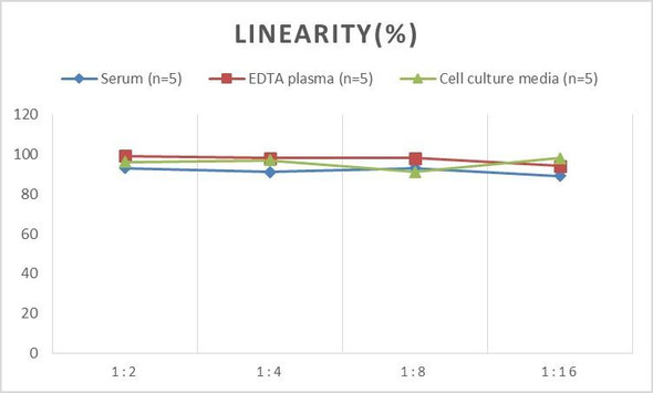 Porcine IL-12 p40 (Interleukin 12 p40) ELISA Kit (AEES00767)