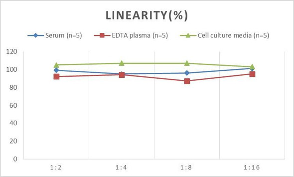 Human TIMP-4 (Tissue Inhibitors of Metalloproteinase 4) ELISA Kit (AEES00821)