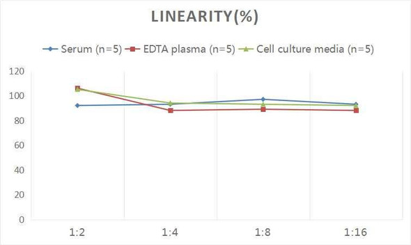 Human MPIF-1/CCL23 (Myeloid Progenitor Inhibitory Factor 1) ELISA Kit (AEES00838)