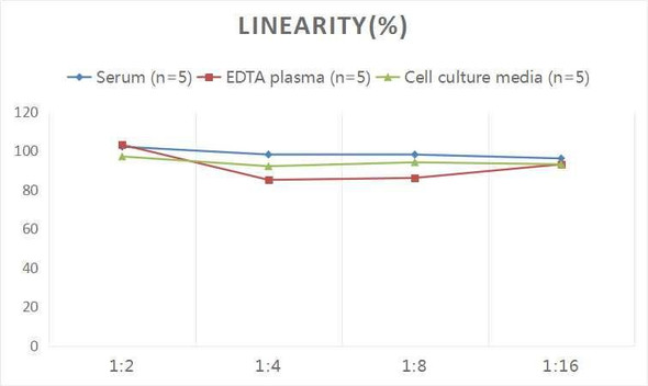 Human MBP (Myelin Basic Protein) ELISA Kit (AEES00843)