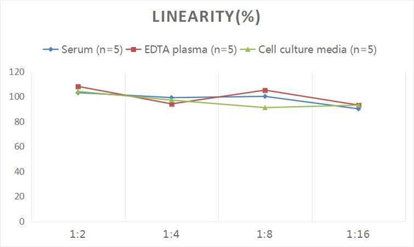 Rat IFNα1 (Interferon Alpha 1) CLIA Kit (AEES03374)