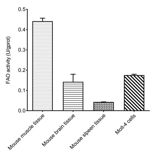 Fatty Acid Oxidation (FAO) Quantitative Assay Kit (MAES0446)