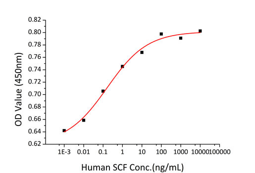Recombinant Human c-Kit ligand/KITLG/SCF Protein (RPCB0290)