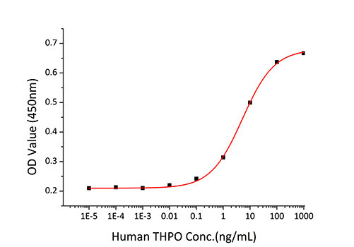 Recombinant Human Thrombopoietin/THPO Protein (RPCB0396)