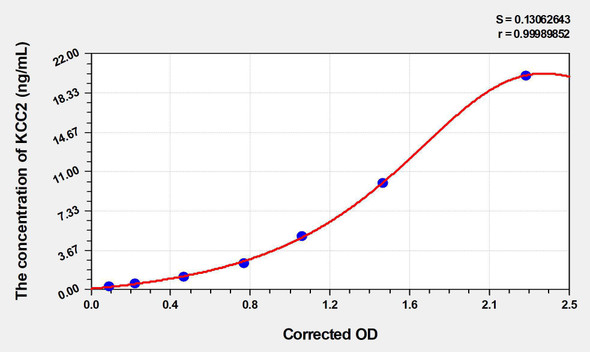 Rat KCC2 (Potassium Chloride Cotransporters 2) ELISA Kit (AEKE03401)