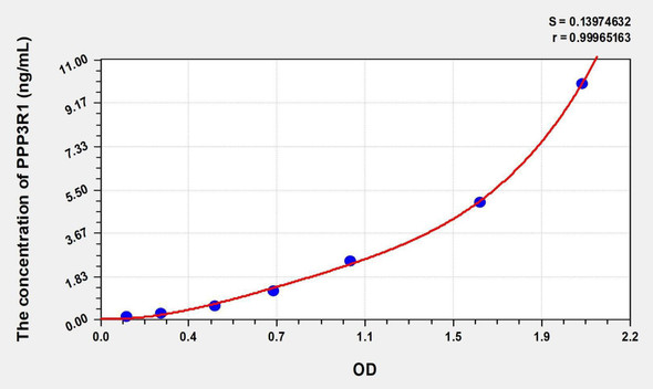 Rat PPP3R1 (Protein Phosphatase 3, Regulatory Subunit 1) ELISA Kit (AEKE05471)