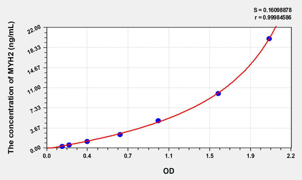 Human MYH2 (Myosin Heavy Chain 2, Skeletal Muscle, Adult) ELISA Kit (AEKE08355)