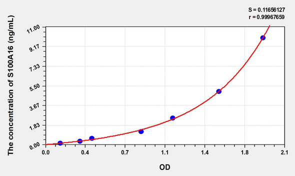 Human S100A16 (S100 Calcium Binding Protein A16) ELISA Kit (AEKE08922)