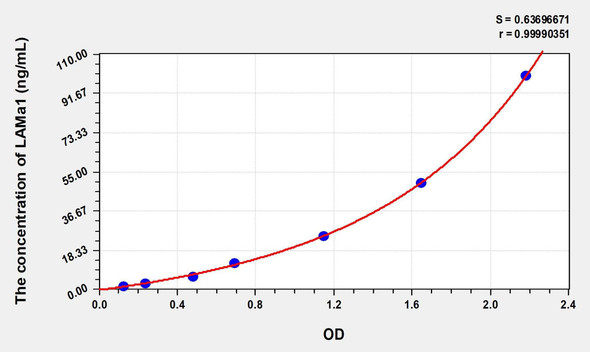 Rat LAMa1 (Laminin Alpha 1) ELISA (Small Sample Volume) (AEKE08992)