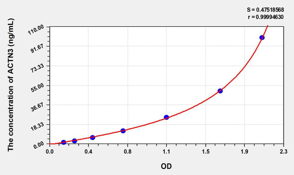 Human ACTN3 (Actinin Alpha 3) ELISA Kit (AEKE08994)