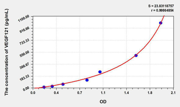 Rabbit VEGF121 (Vascular Endothelial Growth Factor 121) ELISA Kit (AEKE09636)