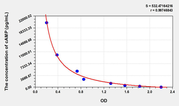 Horse cAMP (Cyclic Adenosine Monophosphate) ELISA Kit (AEKE11354)
