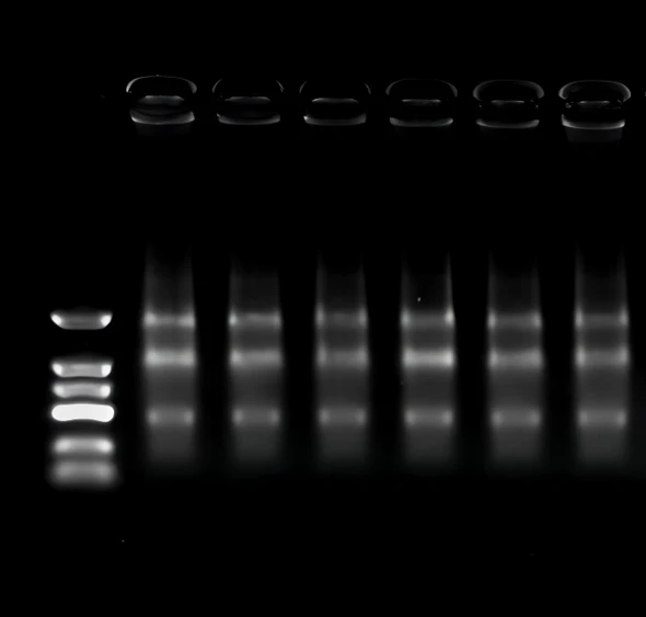 GenieZol Total RNA Extraction Reagent