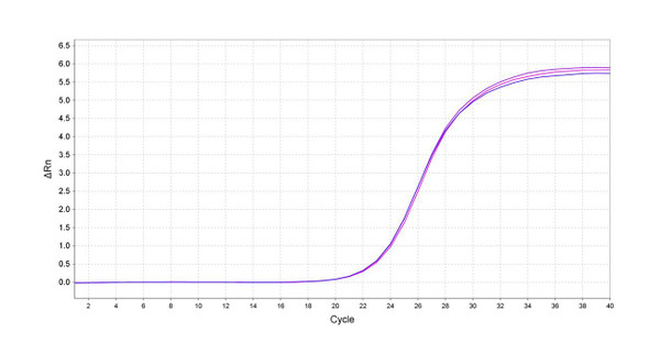 GenieDetect Nipah Virus Detection Kit (Fluorescent PCR)